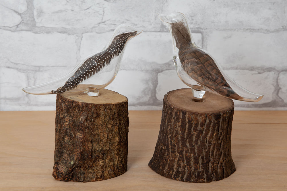 Blown Glass Birds on Wood Perch - Kevin Smolark