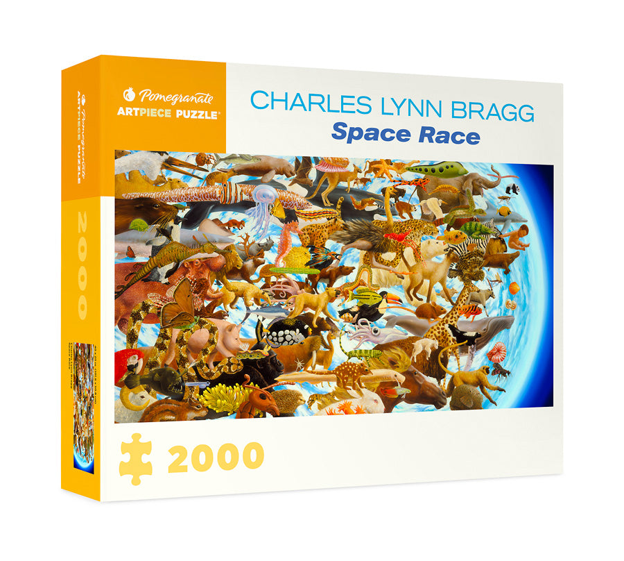 Space Race Puzzle by Charles Lynn Bragg